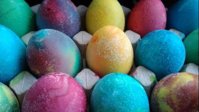 IMG_20170413_144018.jpg