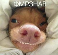 смрзнaв.facebook_1492752872042.jpg