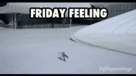 3oEduPqSjEg34HkKRy.gif