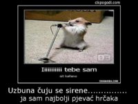 Uzbuna___uju_se_sirene_________________1360447087.jpeg