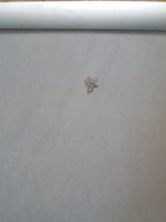 20170424_182833.jpg