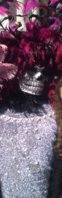 193720_116127681796593_5796081_o-01.jpeg
