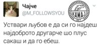 ljubov.jpg