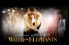 water-for-elephants-e1292465561105.jpg