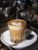 537_kaffee_387x507_web.jpg