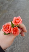 20170504_074755.jpg