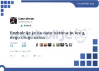 mudrolija-bubreg-druga-sansa.jpg
