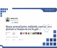 20170503_205946.png