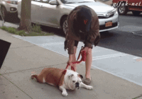 IMG_7896.GIF