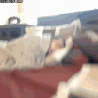 IMG_7898.GIF