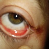 20170506_101751.jpg