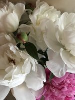IMG_0641.JPG