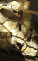 20170508_141113-1.jpg