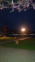 20170508_201921.jpg