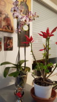 20170510_232531.jpg