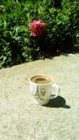 IMG_20170511_105215_202.jpg