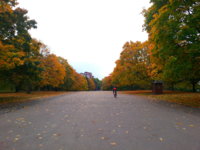 20121029_141306.jpg