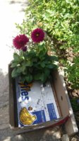 20170514_133025.jpg
