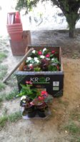20170514_133001.jpg