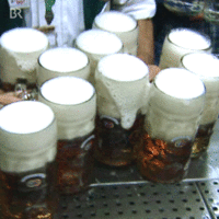 IMG_8081.GIF
