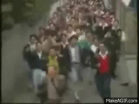 T7AwPq.gif