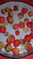 20170528_231626.jpg