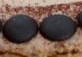 capture-20170530-142907.png