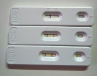 test.jpg