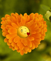 17e7a3c9b66ed56d9e8053137e93b69f.gif