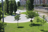 IMG_8735.JPG