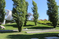 IMG_8761.JPG
