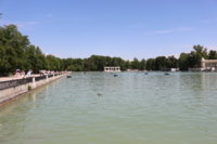 IMG_8851.JPG