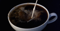giphy (1).gif