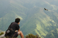 imag_1757_birding_at_pyrenee_spain_photo.jpg