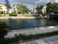 IMG_20170608_181424.jpg