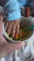 IMAG0099.jpg