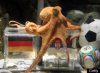 s-WORLD-CUP-OCTOPUS-PAUL-GERMANY-large.jpg