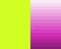 palette 2.PNG