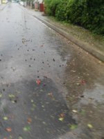 IMG_20170614_172122.jpg