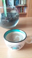 20170618_094955.jpg