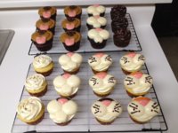 shelter-cupcakes.jpg
