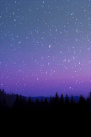 b9fd55d670375fda804fbcf202e2e112.gif