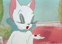 IMG_8737.GIF