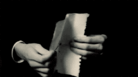 IMG_8741.GIF