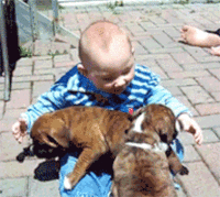 IMG_8768.GIF