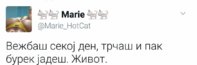 FB_IMG_1499692925177.jpg