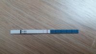 20170715_155503.jpg