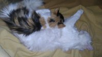 DSC_0012.JPG
