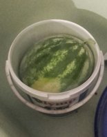 20170706_191935-1.jpg