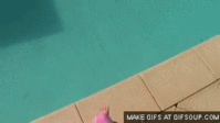 IMG_8898.GIF
